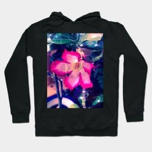 Psychedelic Caribbean Tropical Garden Hoodie